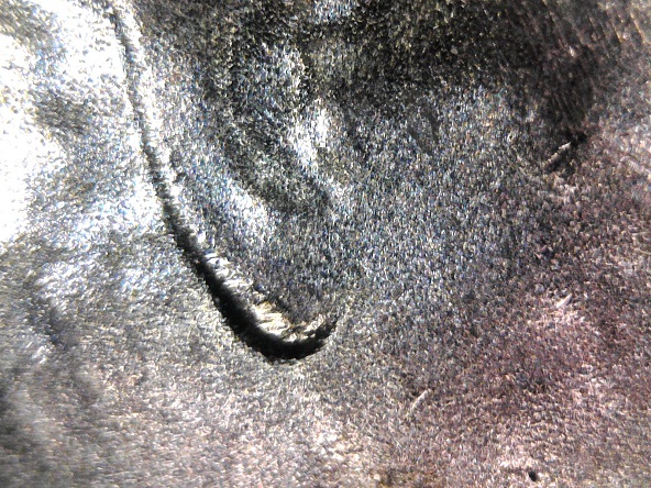 2021-D-Penny-Doubled-Ear?